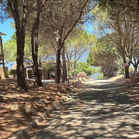 Villa F2 For 4 People Air-conditioned Sea View - Swimming Pool In Resi Serra-di-Ferro (Corsica)